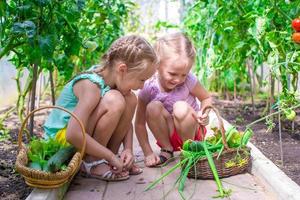 süße kleine Mädchen sammeln Erntegurken im Gewächshaus foto