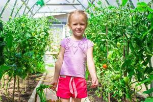 süßes kleines Mädchen sammelt Erntegurken und Tomaten im Gewächshaus foto