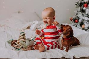 kleiner junge in rot-weißem pyjama isst einen schönen hausgemachten weihnachtskeks, der mit einem hund im bett sitzt. Kind und Haustier. Lebensstil. hochwertiges Foto