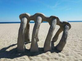 Brustkorb aus Walknochen am Strand mit Wasser foto