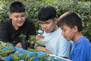 Gruppe junger asiatischer Jungen hält Lupe und Topfpflanzen und schaut durch die Linse, um Pflanzenarten zu studieren und Projektarbeit zu machen, Lernkonzept im Klassenzimmer im Freien, weicher und selektiver Fokus. foto