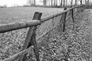 Stachelzaun in Landschaft foto