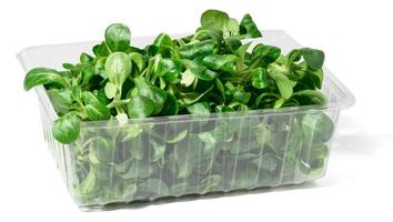 frischer Salat verlässt Mungobohnen in einem transparenten Kunststoffbehälter auf einem weißen, isolierten Hintergrund foto