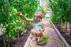 kleines Mädchen, das Erntegurken und Tomaten im Gewächshaus sammelt foto