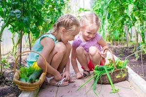 kleine Mädchen sammeln Erntegurken im Gewächshaus foto