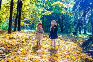 Zwei schöne entzückende Mädchen, die an einem warmen, sonnigen Herbsttag im Herbstwald spazieren gehen foto