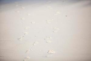 menschliche Fußspuren am weißen Sandstrand foto