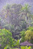 starker tropischer regen auf den seychellen foto