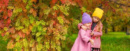Zwei entzückende Mädchen im Wald am warmen, sonnigen Herbsttag foto