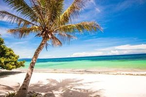 Perfekter tropischer Strand mit türkisfarbenem Wasser und weißen Sandstränden auf den Philippinen foto