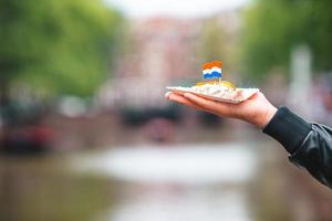 leckerer frischer hering mit zwiebeln und niederländischer flagge auf dem wasserkanalhintergrund in amsterdam. traditionelles niederländisches essen foto