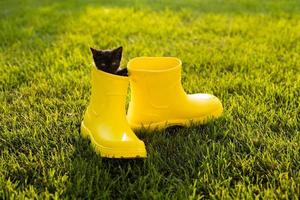 lustiges schwarzes kätzchen, das im gelben stiefel auf gras sitzt. süßes Bildkonzept für Postkartenkalender und Hefte mit Haustier foto