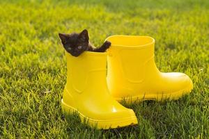 lustiges schwarzes kätzchen, das im gelben stiefel auf gras sitzt. süßes Bildkonzept für Postkartenkalender und Hefte mit Haustier foto