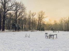 Wintersonnenuntergang im schneebedeckten Park. Saison- und Kaltwetterkonzept foto