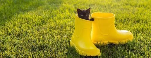 banner lustiges schwarzes kätzchen, das im gelben stiefel auf graskopierraum sitzt. süßes Bildkonzept für Postkartenkalender und Hefte mit Haustier foto