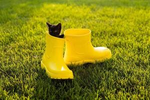 lustiges schwarzes kätzchen, das im gelben stiefel auf gras sitzt. süßes Bildkonzept für Postkartenkalender und Hefte mit Haustier foto