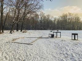 Wintersonnenuntergang im schneebedeckten Park. Saison- und Kaltwetterkonzept foto