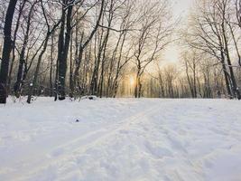 Wintersonnenuntergang im schneebedeckten Park. Saison- und Kaltwetterkonzept foto