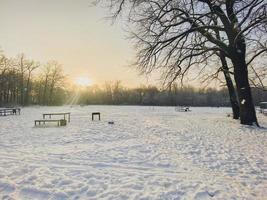 Wintersonnenuntergang im schneebedeckten Park. Saison- und Kaltwetterkonzept foto