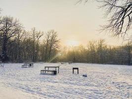 Wintersonnenuntergang im schneebedeckten Park. Saison- und Kaltwetterkonzept foto