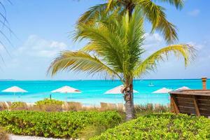 Liegestühle am exotischen tropischen weißen Sandstrand foto