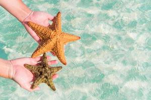 tropischer weißer sand mit seesternen in den händen hintergrund das meer foto