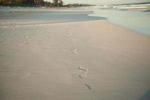 menschliche Fußabdrücke am tropischen weißen Sandstrand in Tulum, Mexiko foto