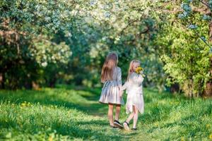 Entzückende kleine Mädchen gehen am Frühlingstag im Freien im Apfelgarten spazieren foto