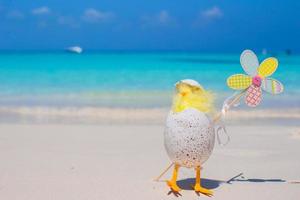 kleines gelbes huhn und blume am weißen strand foto