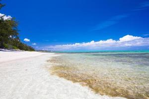 Perfekter weißer Strand auf der Karibikinsel foto