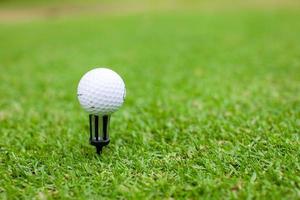 Golfball auf Abschlag in einem schönen grünen Golfgras foto