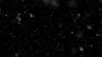 fallender Schnee auf schwarzem Hintergrund isoliert. fallender Schnee in der Nacht. Bokeh-Lichter auf schwarzem Hintergrund, fliegende Schneeflocken in der Luft. Winter Wetter. Overlay-Textur foto