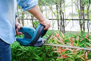 Gärtner trimmt Busch mit elektrischen Heckenscheren im Garten. Hobby zu Hause. foto