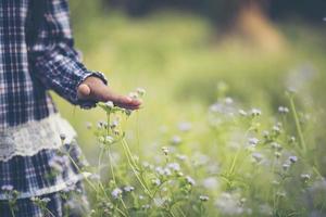 Nahaufnahme der Hand eines kleinen Mädchens, die Wildblumen berührt foto