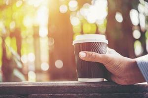 Hand, die eine Pappbecher Kaffee auf natürlichem Morgenhintergrund hält foto