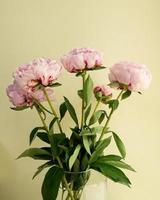 Vase mit rosa Pfingstrosen