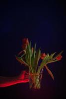 rote Tulpen in einer klaren Glasvase foto