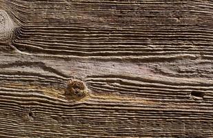 Holzmaserung Textur