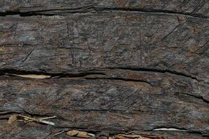 Holz Textur Hintergrund foto