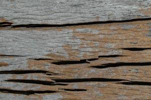 Holz Textur Hintergrund foto