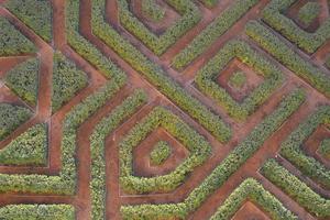 grüner geometrischer Garten foto