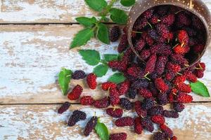 Schüssel Maulbeeren foto