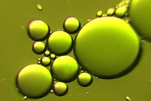 grün gefärbte Ölblasen in einer Flüssigkeit