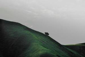 launisches Foto von grünen Hügeln