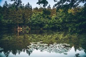 Reflexion von Bäumen im Wasser foto