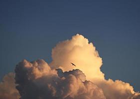 Drachen fliegt durch Wolken foto