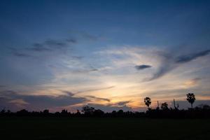 Sonnenuntergang über dem Reisfeld foto