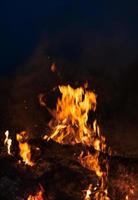 Flammen des Lagerfeuers in der Nacht foto