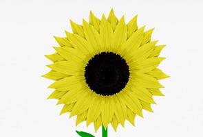schöne Sonnenblume 3D-Illustration minimale Wiedergabe auf weißem Hintergrund. foto