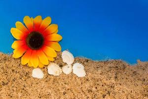 minimalistischer hintergrund, der den sommer mit schnecken, muscheln, brillen und sand am himmel darstellt foto